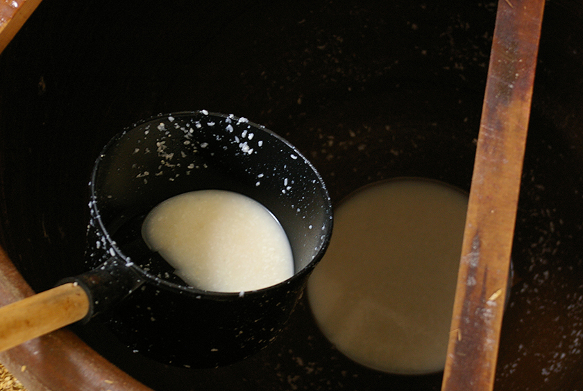 “知られざる発酵食品”を、現代の食卓へ