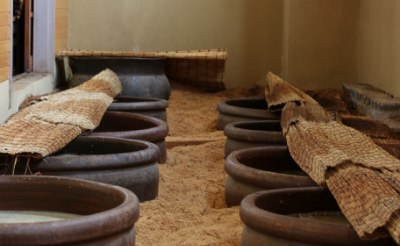 発酵は神様のおしごと