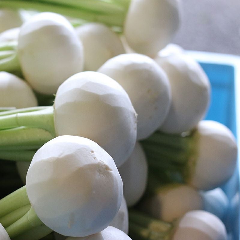 彩菜漬け かぶらを一つずつ丁寧に仕込む